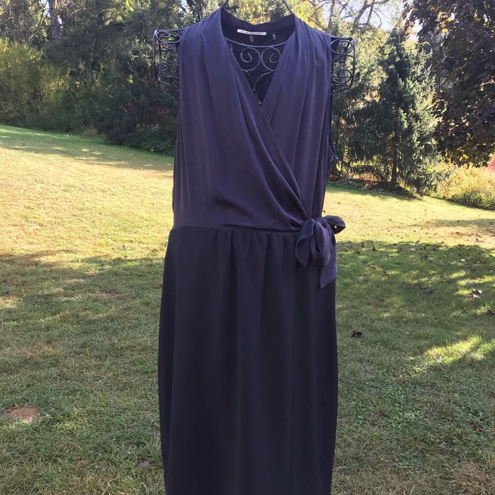 Elite Tahari Dress